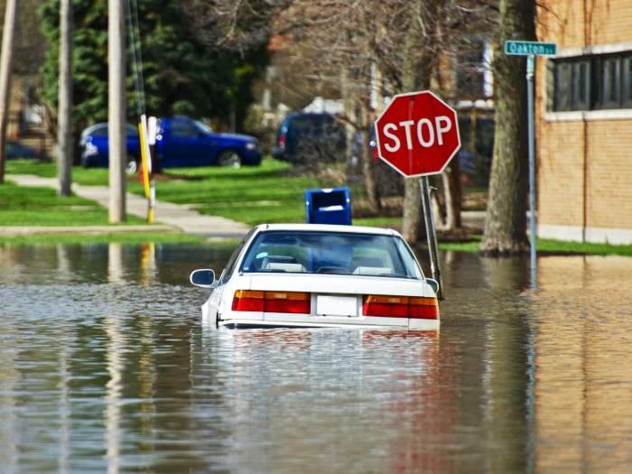 insurance adjusters for all property damage claims