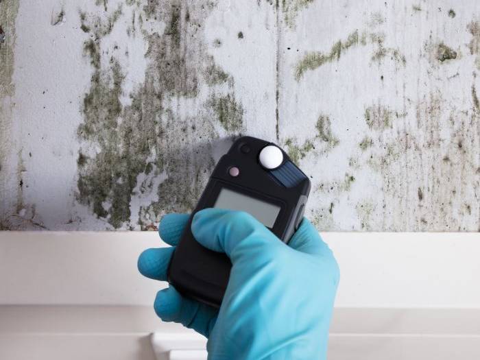 public insurance adjuster checking for mold damage