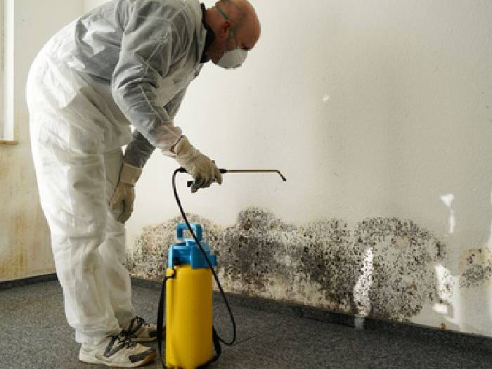 experienced mold remediation for mold damage insurance claim