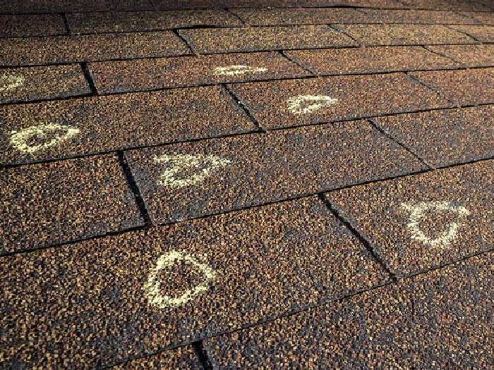 independent adjuster for roof damage