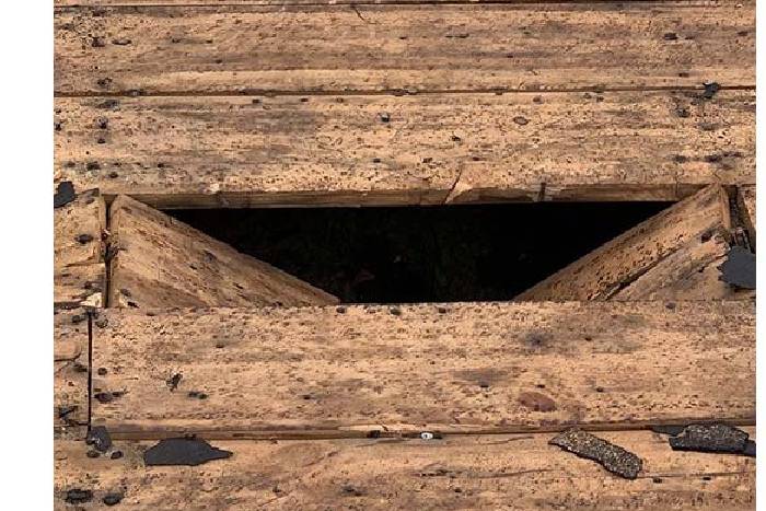 adjuster for roof damage insurance claim
