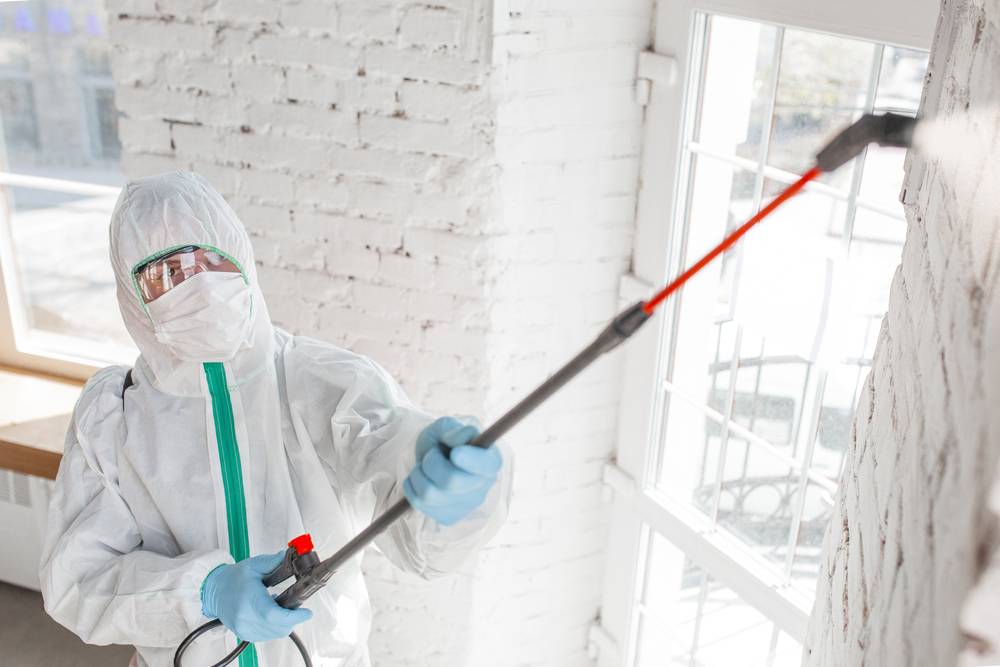 Mold remediation services
